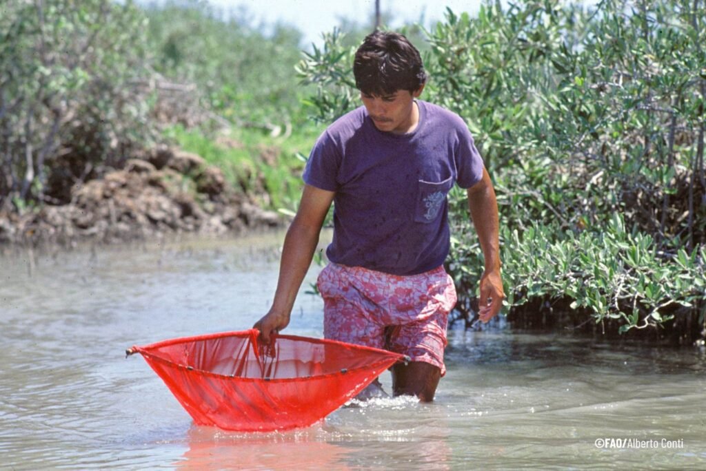 Colombia FAO 2025, seguridad alimentaria,