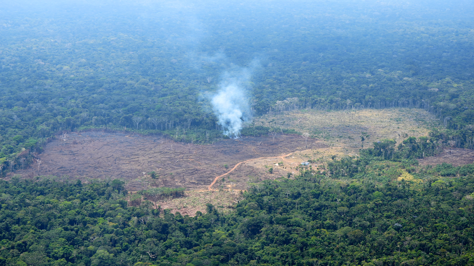 Deforestación en la Amazonía colombiana