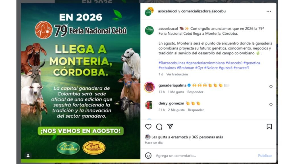 Imagen oficial que anuncia a Montería, Córdoba, como sede de la 79ª Feria Nacional Cebú en 2026, con ejemplares de razas cebuinas.
