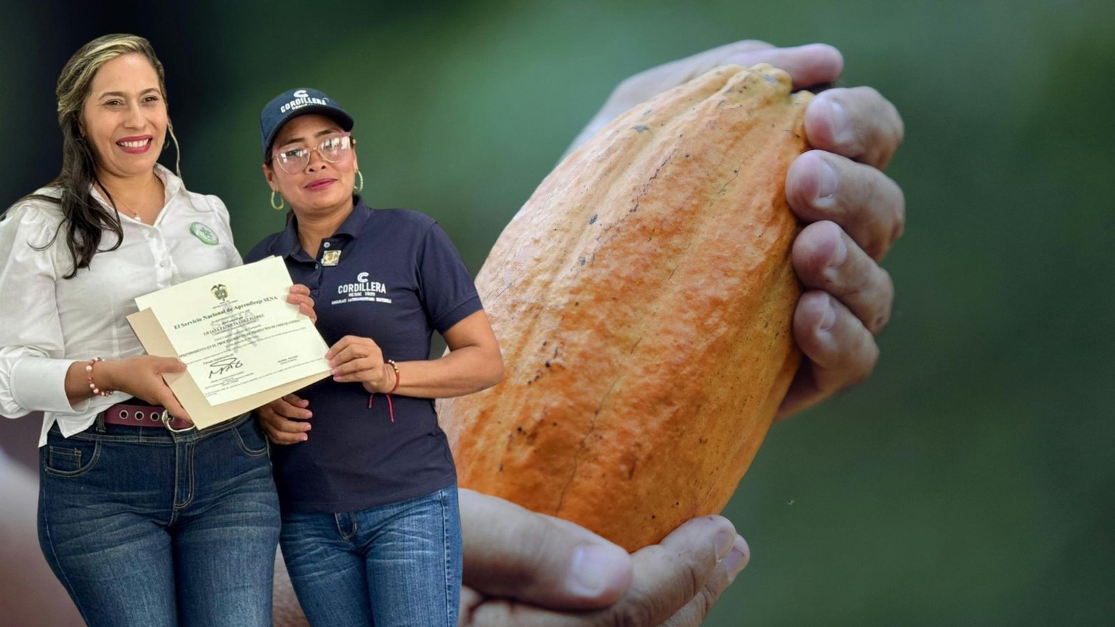 imagen de referencia para Mujeres cacaocultoras de Tierralta y Valencia fortalecen la cadena del cacao en Córdoba a través del programa Atenea.