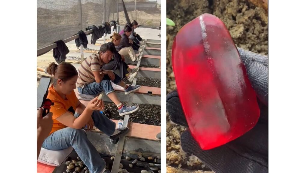 Trabajadores recogiendo piedras en China desde otro ángulo, en una labor manual asociada a empleos monótono